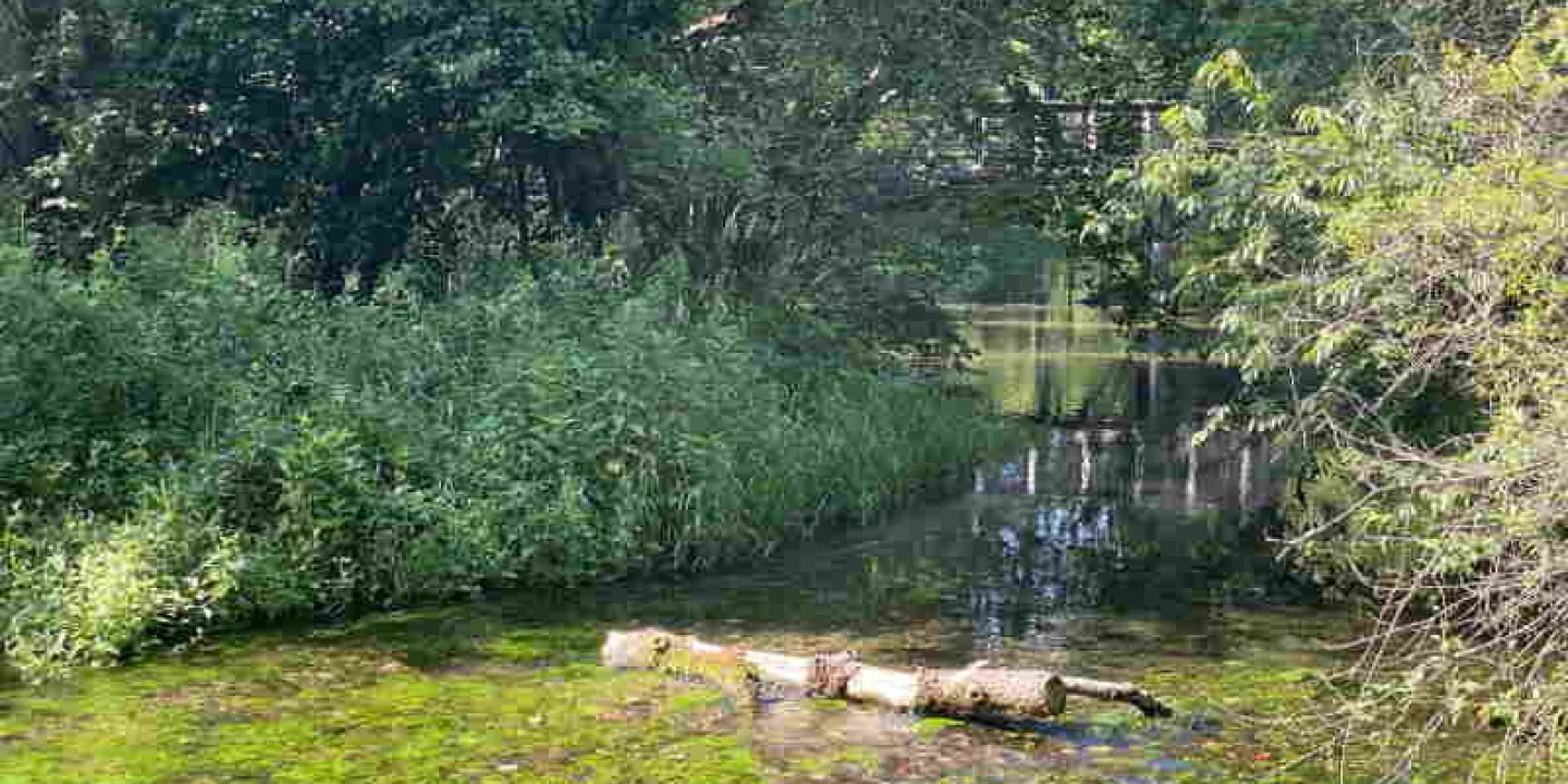 Centro Parco la Fagiana