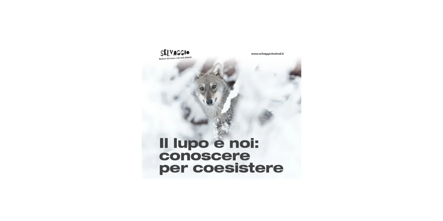 Eventi in Abbitegrasso: Il lupo e noi: conoscere per coesistere