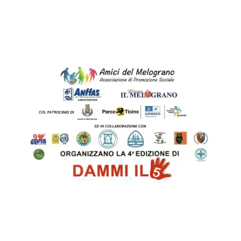 DAMMI IL 5