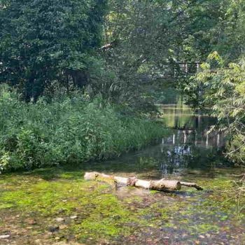 Centro Parco la Fagiana