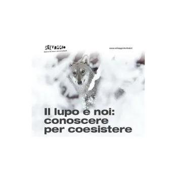 Il lupo e noi: conoscere per coesistere
