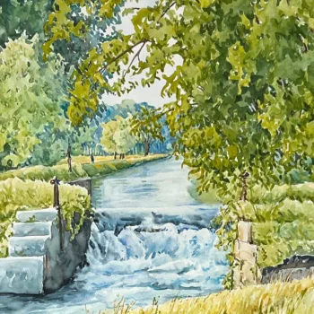 Cercando la Bellezza