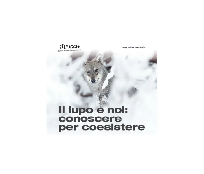 Il lupo e noi: conoscere per coesistere